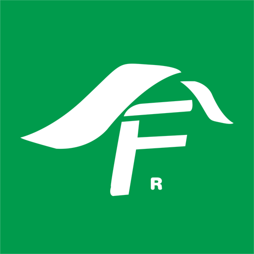 享动体育